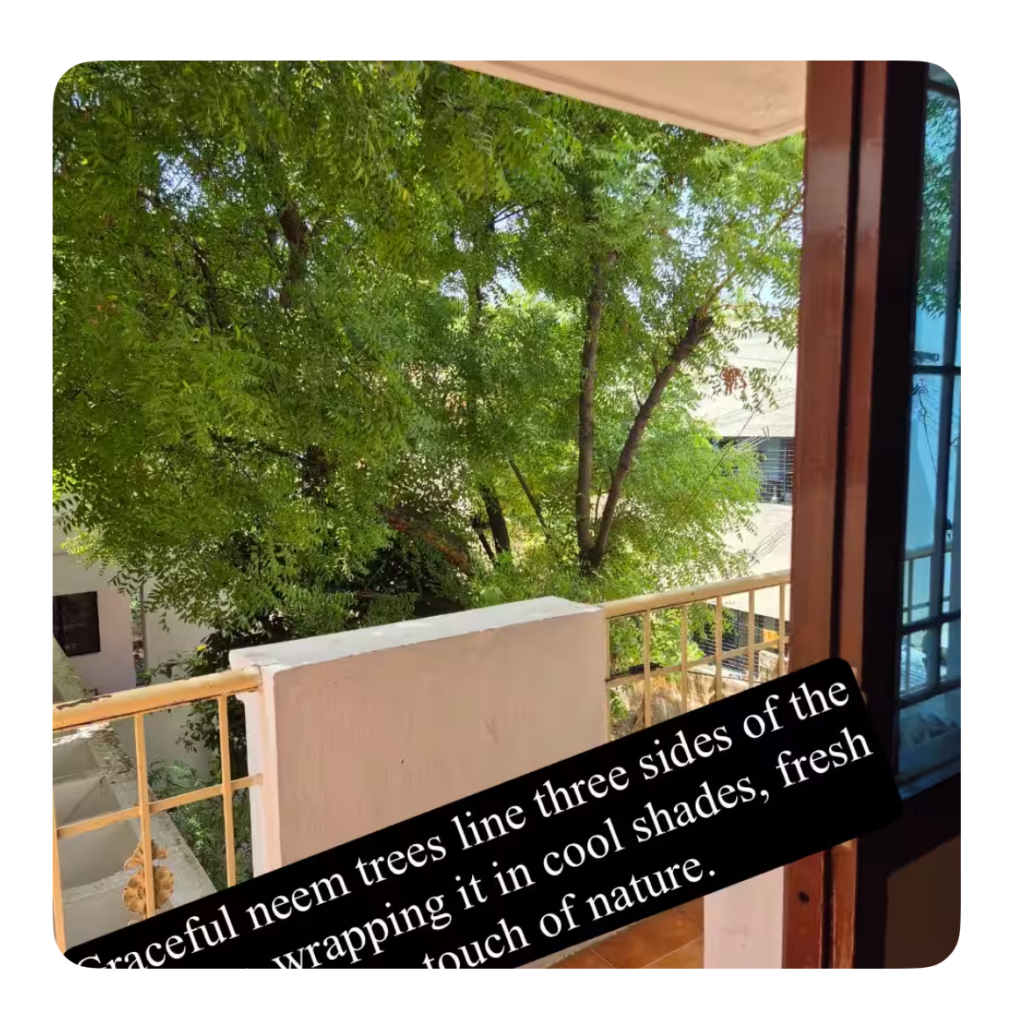Surrounded by neem trees